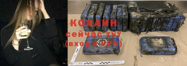 ГАЛЛЮЦИНОГЕННЫЕ ГРИБЫ Арсеньев