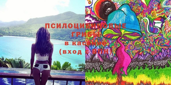 ГАЛЛЮЦИНОГЕННЫЕ ГРИБЫ Арсеньев